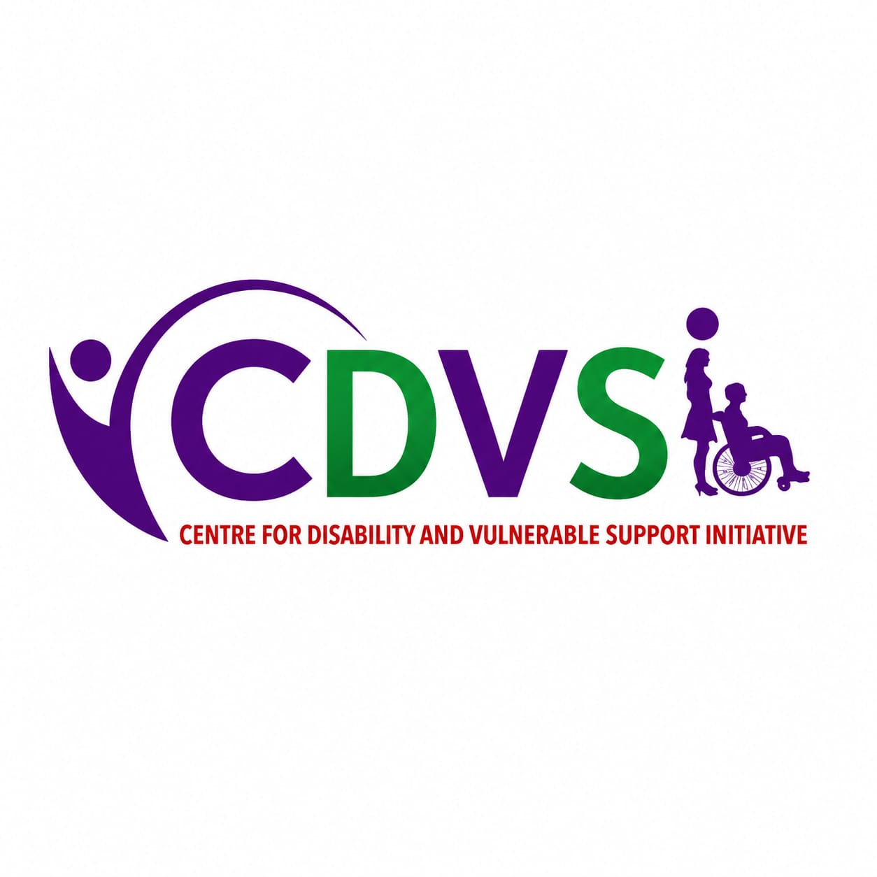 CDVSI logo